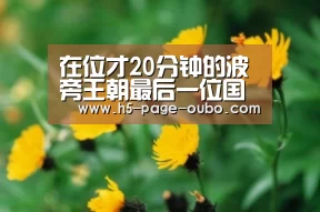 在位才20分钟的波旁王朝最后一位国王路易十九【欧博登入】(图2) 欧博游戏