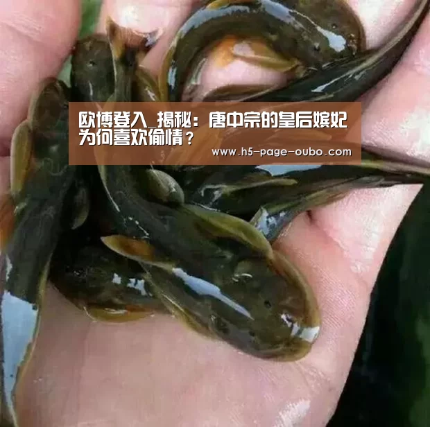 欧博官网