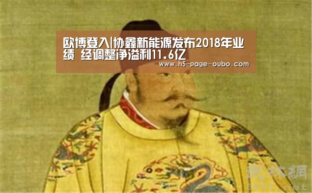 欧博登入|协鑫新能源发布2018年业绩 经调整净溢利11.6亿(图2) 欧博登入
